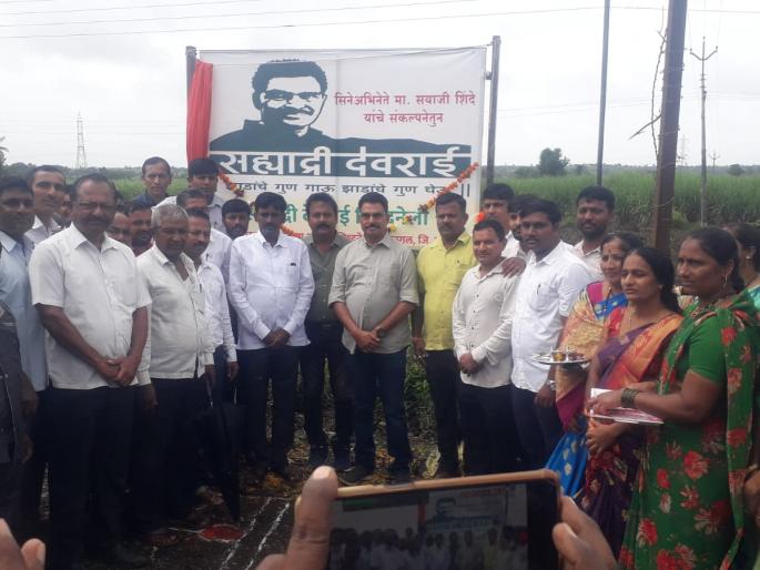 Sayaji Shinde will spread the ideal of Siddharlikar's tree conservation throughout the state | सिद्धनेर्लीकरांच्या वृक्षसंवर्धनाचा आदर्श राज्यभर पोहचवू - सयाजी शिंदे Sayaji Shinde will spread the ideal of Siddharlikar's tree conservation throughout the state | सिद्धनेर्लीकरांच्या वृक्षसंवर्धनाचा आदर्श राज्यभर पोहचवू - सयाजी शिंदे