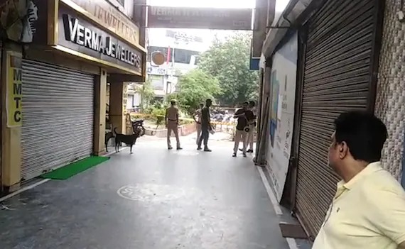 Panic situation in Delhi! Abandoned tiffin box found, BDDS team at the spot | दिल्लीत खळबळ! बेवारस टिफिन बॉक्स सापडला, बीडीडीएसचे पथक घटनास्थळी Panic situation in Delhi! Abandoned tiffin box found, BDDS team at the spot | दिल्लीत खळबळ! बेवारस टिफिन बॉक्स सापडला, बीडीडीएसचे पथक घटनास्थळी