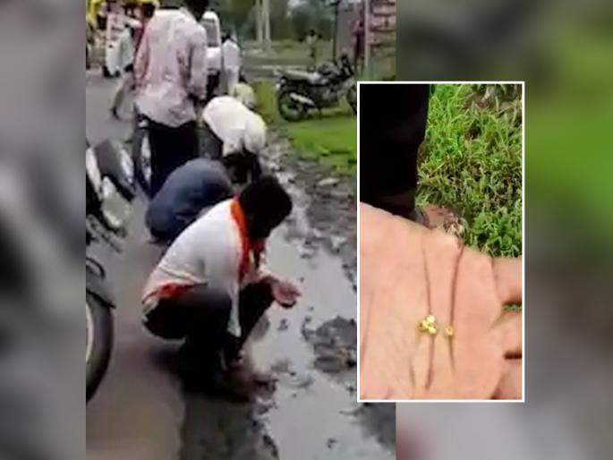 Rain of gold beads on Buldhana Highway; commuters, villagers came to catch it, but its not original gold | सोन्याच्या मण्यांचा पाऊस! ऐकताच नागरिकांची हायवेवर झुंबड उडाली; ज्याच्या त्याच्या हाती मणी... Rain of gold beads on Buldhana Highway; commuters, villagers came to catch it, but its not original gold | सोन्याच्या मण्यांचा पाऊस! ऐकताच नागरिकांची हायवेवर झुंबड उडाली; ज्याच्या त्याच्या हाती मणी...