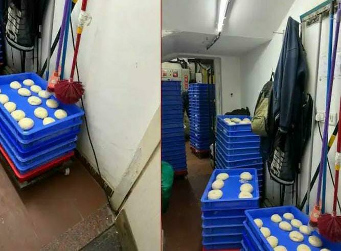 pizza eaters will be shocked to see this picture mops kept on the dough tray | संतापजनक! पिझ्झा डोव्हच्या ट्रेवर टॉयलेट ब्रश; Dominos किचनचा फोटो जोरदार व्हायरल pizza eaters will be shocked to see this picture mops kept on the dough tray | संतापजनक! पिझ्झा डोव्हच्या ट्रेवर टॉयलेट ब्रश; Dominos किचनचा फोटो जोरदार व्हायरल