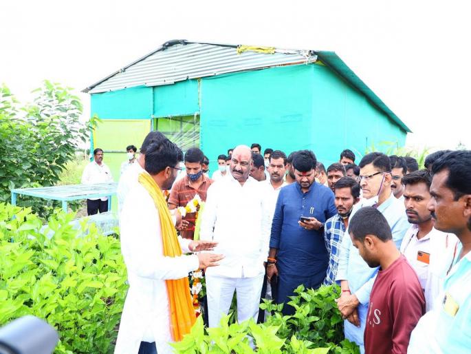 30 crore turnover of Rui village of Beed district from silk business | दुष्काळी ते ३० कोटींची उलाढाल; छोट्याशा रुई गावाने रेशीम व्यवसायातून केला कायापालट 30 crore turnover of Rui village of Beed district from silk business | दुष्काळी ते ३० कोटींची उलाढाल; छोट्याशा रुई गावाने रेशीम व्यवसायातून केला कायापालट