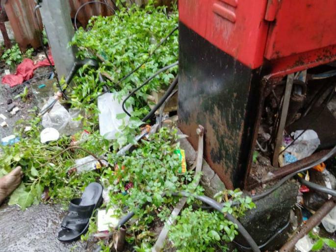 Elderly dies of electric shock in Thane due to lax power distribution | वीज वितरणच्या हलगर्जीपणामुळे ठाण्यात वृद्धाचा विजेच्या धक्क्याने मृत्यू Elderly dies of electric shock in Thane due to lax power distribution | वीज वितरणच्या हलगर्जीपणामुळे ठाण्यात वृद्धाचा विजेच्या धक्क्याने मृत्यू