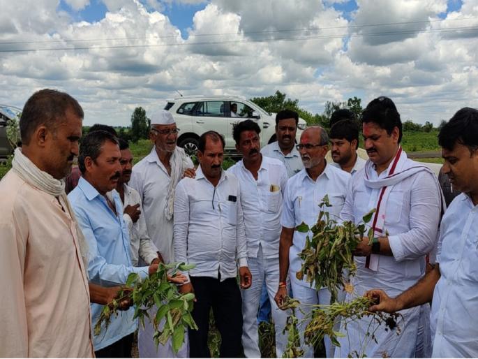 Crops of most farmers in danger, Panchnama should be done immediately and 25 percent advance should be paid: Dhananjay Munde | बहुतांश शेतकऱ्यांची पिके धोक्यात, तत्काळ पंचनामे करून २५ टक्के अग्रिम रक्कम द्यावी: धनंजय मुंडे Crops of most farmers in danger, Panchnama should be done immediately and 25 percent advance should be paid: Dhananjay Munde | बहुतांश शेतकऱ्यांची पिके धोक्यात, तत्काळ पंचनामे करून २५ टक्के अग्रिम रक्कम द्यावी: धनंजय मुंडे