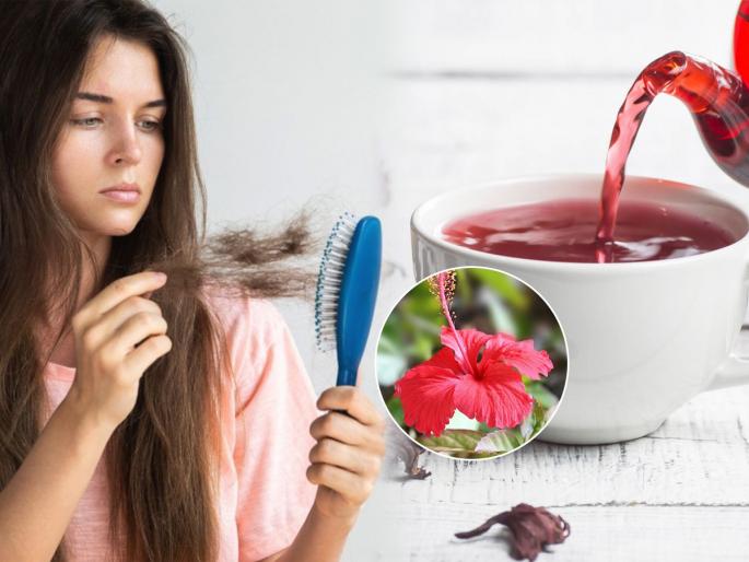 Hibiscus tea for reducing hair fall, Home remedies for reducing hair fall, How to reduce hair fall? | जास्वंदाचा चहा, केसगळती थांबविण्याचा सोपा उपाय.. फक्त २ पदार्थ वापरा, केस गळणं होईल कमी 
