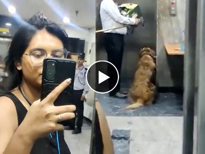 Two women arguing over taking dog in lift in greater noida ace aspire society video goes viral | लिफ्टमध्ये कुत्र्याला का आणलं म्हणून २ महिलांचं तुफान भांडण; व्हायरल व्हिडिओ- मारामारी झाली तरी..