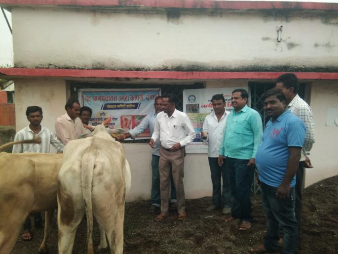 Lumpy's presence in 24 villages; 126 Infection of animals in washim | २४ गावांत लम्पीचा शिरकाव; १२६ जनावरांना संसर्ग Lumpy's presence in 24 villages; 126 Infection of animals in washim | २४ गावांत लम्पीचा शिरकाव; १२६ जनावरांना संसर्ग