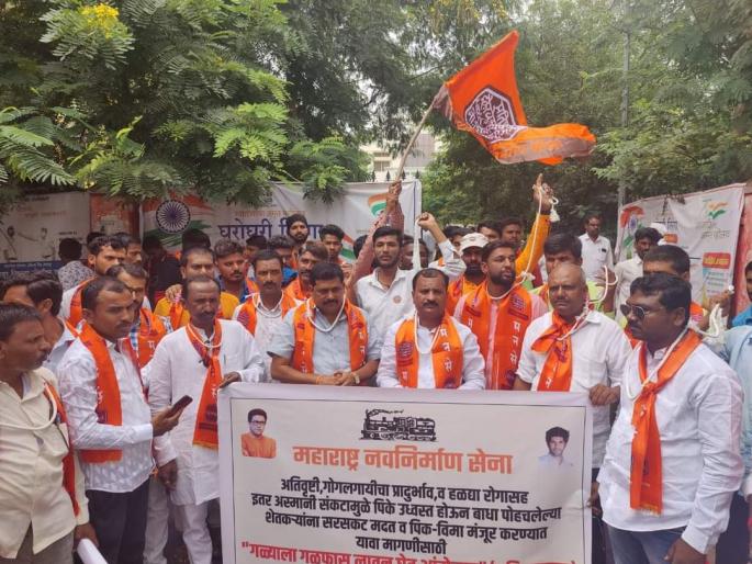 MNS's Galfas movement has attracted attention, demanding immediate compensation to farmers | मनसेच्या 'गळफास' आंदोलनाने वेधले लक्ष, शेतकऱ्यांना सरसकट नुकसान भरपाई देण्याची मागणी MNS's Galfas movement has attracted attention, demanding immediate compensation to farmers | मनसेच्या 'गळफास' आंदोलनाने वेधले लक्ष, शेतकऱ्यांना सरसकट नुकसान भरपाई देण्याची मागणी