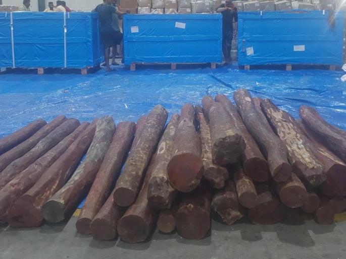 3 metric tons of raktchandan seized from a container in JNPA area, action of CIU department | जेएनपीए परिसरात एका कंटेनरमधून तीन मेट्रिक टन रक्तचंदन जप्त, सीआययु विभागाची कारवाई 3 metric tons of raktchandan seized from a container in JNPA area, action of CIU department | जेएनपीए परिसरात एका कंटेनरमधून तीन मेट्रिक टन रक्तचंदन जप्त, सीआययु विभागाची कारवाई