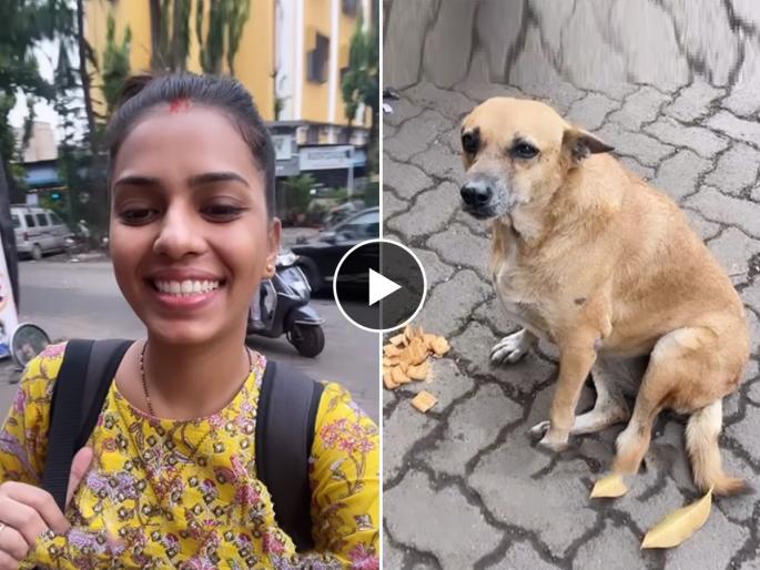 During the corona period the woman fed the dog met after 2 years the video will win hearts | कोरोनामध्ये कुत्र्याला रोज मायेनं जेवण भरवलं, २ वर्षांनी त्याला पाहून महिलेनं अशी रिएक्शन दिली, पाहा व्हिडिओ