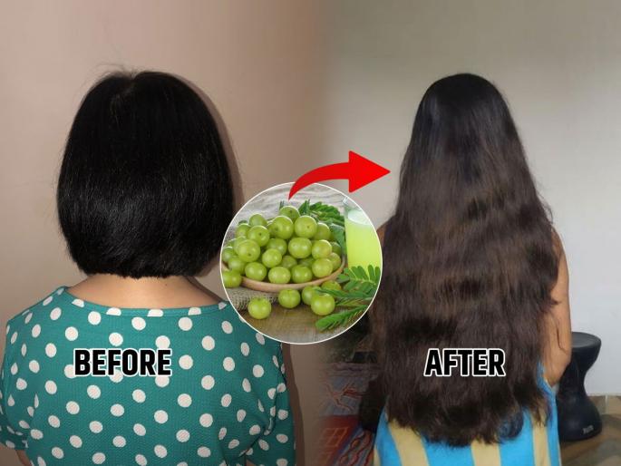 Suffering from hair loss? Make a hair mask and oil from amla, the hair will become thick and long | केस गळतीमुळे त्रस्त आहात? आवळ्यापासून बनवा हेअर मास्क आणि तेल, केस होतील घनदाट आणि लांबसडक