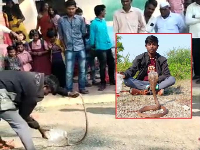 Cobra entered the classroom on the first day of school: Disaster was averted due to vigilance of village teachers | शाळेच्या पहिल्याच दिवशी वर्गात घुसला कोब्रा: ग्रामस्थ शिक्षकांच्या सतर्कतेमुळे अनर्थ टळला Cobra entered the classroom on the first day of school: Disaster was averted due to vigilance of village teachers | शाळेच्या पहिल्याच दिवशी वर्गात घुसला कोब्रा: ग्रामस्थ शिक्षकांच्या सतर्कतेमुळे अनर्थ टळला