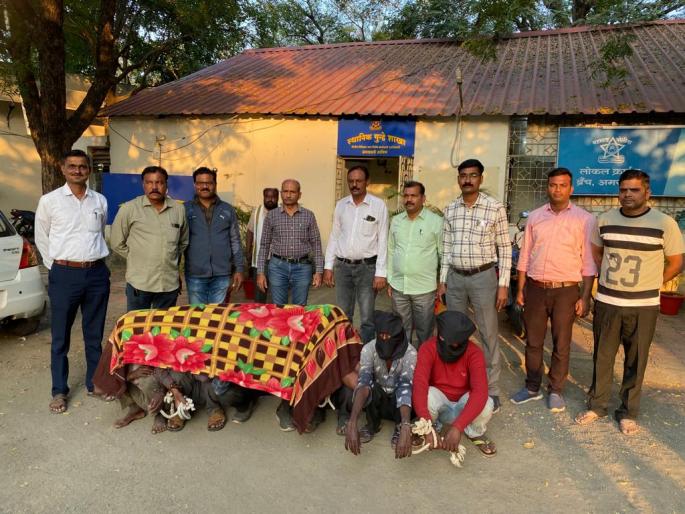 Amravati Rural police arrests gang theft agriculture material; 3 lakh worth of goods seized | शेतीचे साहित्य चोरणारी टोळी अखेर गजाआड, ११ गुन्ह्यांची कबुली; ३ लाखांचा मुद्देमाल जप्त