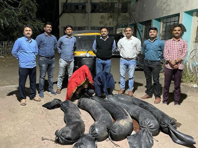 Hand furnace liquor transport through tire tube; Two along with Autorikshaw caught in Latur | टायर ट्यूबमधून हातभट्टीची वाहतूक; ऑटाेसह पथकाने दोघाला पकडले