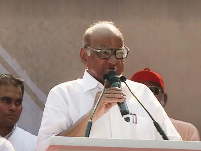 MVA Mumbai Morcha & BJP's 'Maafi Mango' Protest Live: Shivsena Uddhav Thackeray, NCP Ajit Pawar, Congress Mahamorcha Against Bhagat Singh Koshyari, Ashish Shelar Mafi Mango Protest in mumbai Today Updates | MVA Mumbai Morcha & BJP's 'Maafi Maango' Protest Live: सरकारमध्ये स्पर्धा सुरु झाली ती महाराष्ट्राच्या बदनामीची; शरद पवार यांची टीका MVA Mumbai Morcha & BJP's 'Maafi Mango' Protest Live: Shivsena Uddhav Thackeray, NCP Ajit Pawar, Congress Mahamorcha Against Bhagat Singh Koshyari, Ashish Shelar Mafi Mango Protest in mumbai Today Updates | MVA Mumbai Morcha & BJP's 'Maafi Maango' Protest Live: सरकारमध्ये स्पर्धा सुरु झाली ती महाराष्ट्राच्या बदनामीची; शरद पवार यांची टीका