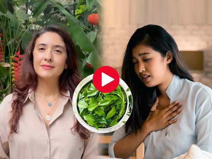 Pooja Makhija told best home remedies for Throat irritation, cold and constant cough in winter season, Super 5 benefits of curry leaves | थंडीमुळे घसा खवखवणे, सर्दी- खोकला, श्वसनाचा त्रास वाढला? पूजा माखिजा सांगतात १ सोपा उपाय