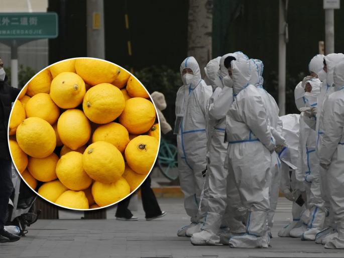 Corona Virus China sees massive surge in sale of lemons amid covid 19 wave | बापरे! चीनमध्ये कोरोनाचा विस्फोट अन् लोकांची लिंबू खरेदी करण्यासाठी झुंबड; 'हे' आहे कारण Corona Virus China sees massive surge in sale of lemons amid covid 19 wave | बापरे! चीनमध्ये कोरोनाचा विस्फोट अन् लोकांची लिंबू खरेदी करण्यासाठी झुंबड; 'हे' आहे कारण