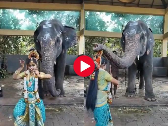Anand Mahindra shares video of Elephant blessing a dancer in Karnataka's temple | गजराजाने सोंडेने दिला नृत्यांगनेला आशीर्वाद, नवीन वर्षाची सुरुवात हा सुंदर व्हायरल व्हिडिओ पाहून करा..