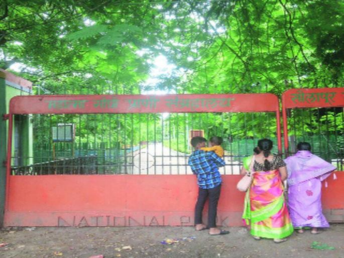 Fresh proposal sent again for approval of Zoological Museum, Solapur | सोलापुरातील प्राणी संग्रहालयाच्या मान्यतेसाठी पुन्हा पाठविला नव्याने प्रस्ताव Fresh proposal sent again for approval of Zoological Museum, Solapur | सोलापुरातील प्राणी संग्रहालयाच्या मान्यतेसाठी पुन्हा पाठविला नव्याने प्रस्ताव