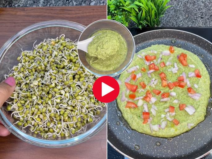 Green Mugdal Dosa Get Tasty Green Nutritious Dosa Recipe, Protein Diet - Perfect for School Canteen | हिरवी मुगडाळ डोसा, हिरव्यागार पौष्टिक डोशाची घ्या चविष्ट रेसिपी, प्रोटीन डाएट - शाळेच्या डब्यासाठी उत्तम