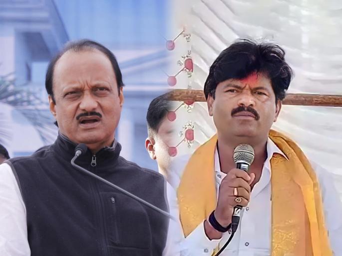 Yes, I will uproot the Pawar family; Gopichand Padalkar's criticized on Ajit Pawar | हो मी उपटसुंभ, पवार कुटुंब उपटून टाकणार; गोपीचंद पडळकरांचा अजित पवारांवर पलटवार Yes, I will uproot the Pawar family; Gopichand Padalkar's criticized on Ajit Pawar | हो मी उपटसुंभ, पवार कुटुंब उपटून टाकणार; गोपीचंद पडळकरांचा अजित पवारांवर पलटवार