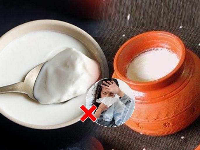 Avoid 4 Mistakes While Eating Curd : Avoid making these mistakes while eating curd | दही खाताना या चुका टाळा; अन्यथा फायदा होण्याऐवजी होईल नुकसान, वाचा दही खाण्याचे ४ नियम