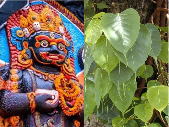 Kalashtami: On the occasion of Kalashtami, perform 'this' remedy this evening, the desired result will be achieved! | Kalashtami: कालाष्टमीनिमित्त आज सायंकाळी आवर्जून करा 'हा' उपाय, होईल इच्छित फलप्राप्ती! Kalashtami: On the occasion of Kalashtami, perform 'this' remedy this evening, the desired result will be achieved! | Kalashtami: कालाष्टमीनिमित्त आज सायंकाळी आवर्जून करा 'हा' उपाय, होईल इच्छित फलप्राप्ती!