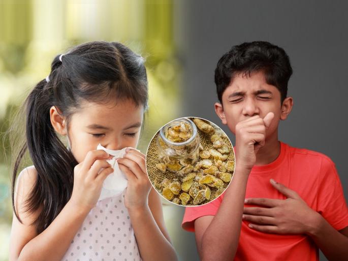 Grandma's Alepak Vadi is now popularly called ginger candy. It is a great home remedy for health issues | आजीची आलेपाक वडी आता जिंजर कँडी म्हणत चर्चेत, सर्दी खोकला छळत असेल तर उत्तम उपाय