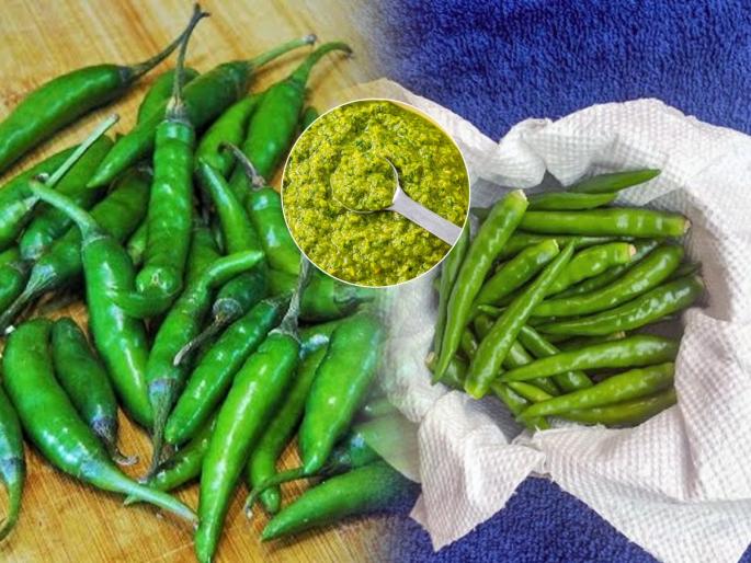 2 special tips to prevent green chillies from spoiling quickly and turning red when ripe | हिरव्या मिरच्या लवकर खराब होवू नयेत, पिकून लाल होवू नयेत म्हणून २ खास टिप्स