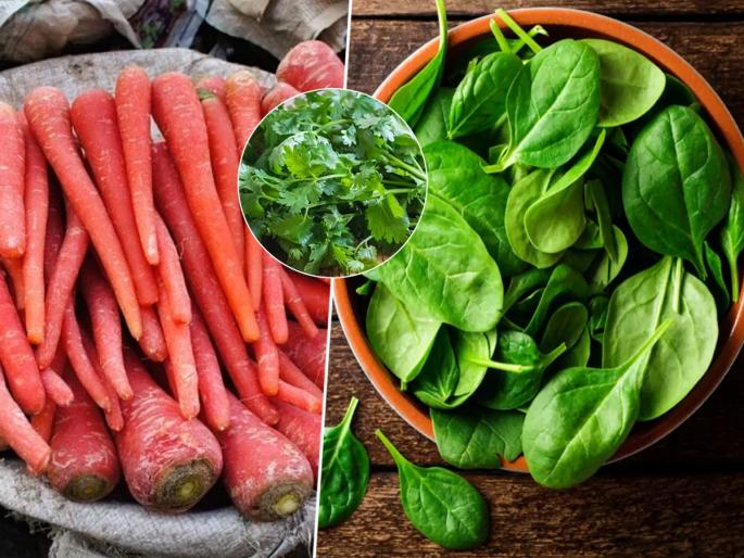 How To Keep Fruits & Veggies Fresh For Longer? Try These Simple Yet Effective Tips & Tricks | लवकर सडू नयेत, शिळ्या होऊन नयेत म्हणून फ्रिजमध्ये भाजी ठेवण्याची पाहा ‘योग्य’ पद्धत; भाज्या राहतील फ्रेश
