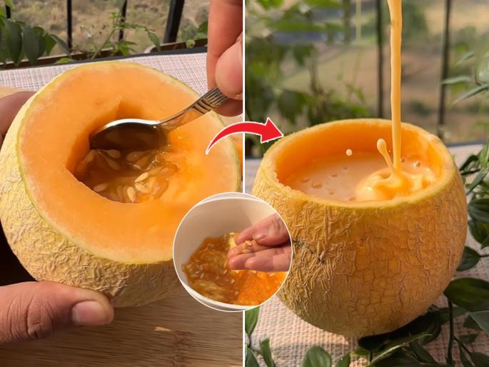 Summer Special Muskmelon juice recipe : Muskmelon Juice Recipe How to make Muskmelon Juice | सतत थंड प्यावंसं वाटतं? घरीच १० मिनिटांत करा गारेगार खरबूज ज्यूस, एक घोट घेताच वाटेल फ्रेश