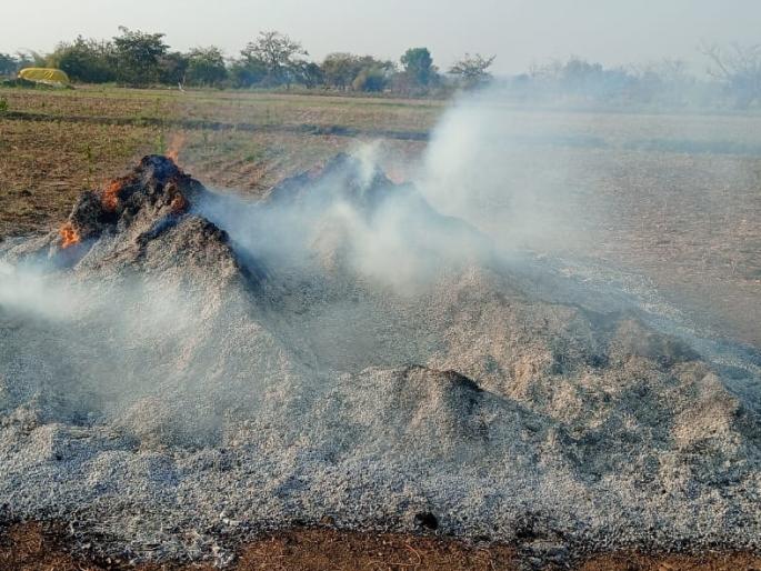 Harbhara Ganji fire in Washim; Two lakhs loss | वाशिममध्ये हरभरा गंजीला आग; दोन लाखांचे नुकसान Harbhara Ganji fire in Washim; Two lakhs loss | वाशिममध्ये हरभरा गंजीला आग; दोन लाखांचे नुकसान