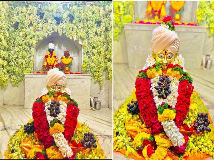 Attractive decoration of grapes on the samadhi of Saint Goroba Kaka | संत गोरोबा काकांच्या समाधीला द्राक्षाची आकर्षक सजावट Attractive decoration of grapes on the samadhi of Saint Goroba Kaka | संत गोरोबा काकांच्या समाधीला द्राक्षाची आकर्षक सजावट