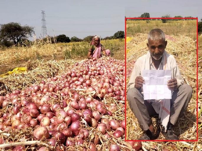 After selling three and a half tons of onions, minus bill generated, the farmer had paid himself | साडेतीन टन कांदा विकून हाती भोपळा, शेतकऱ्यालाच १८०० रुपयांची करावी लागली पदरमोड After selling three and a half tons of onions, minus bill generated, the farmer had paid himself | साडेतीन टन कांदा विकून हाती भोपळा, शेतकऱ्यालाच १८०० रुपयांची करावी लागली पदरमोड