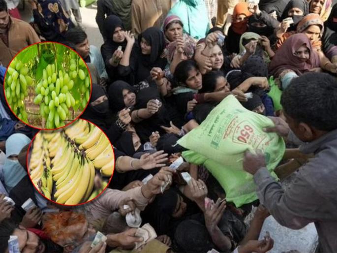 pakistan inflation broke all records you will be shocked to hear the prices of bananas and grapes | Pakistan Economic Crisis : पाकिस्तानमध्ये महागाईचा आगडोंब! केळी ५०० रुपये, द्राक्षे १६०० रुपये किलो pakistan inflation broke all records you will be shocked to hear the prices of bananas and grapes | Pakistan Economic Crisis : पाकिस्तानमध्ये महागाईचा आगडोंब! केळी ५०० रुपये, द्राक्षे १६०० रुपये किलो