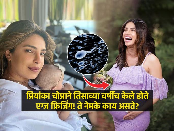 Priyanka Chopra felt ‘freedom’ after freezing her eggs ‘in her early 30s’; gynecologist explains all you need to know about this procedure | प्रियांका चोप्राने तिसाव्या वर्षीच केले होते एग्ज फ्रिजिंग! ते नेमके काय असते?