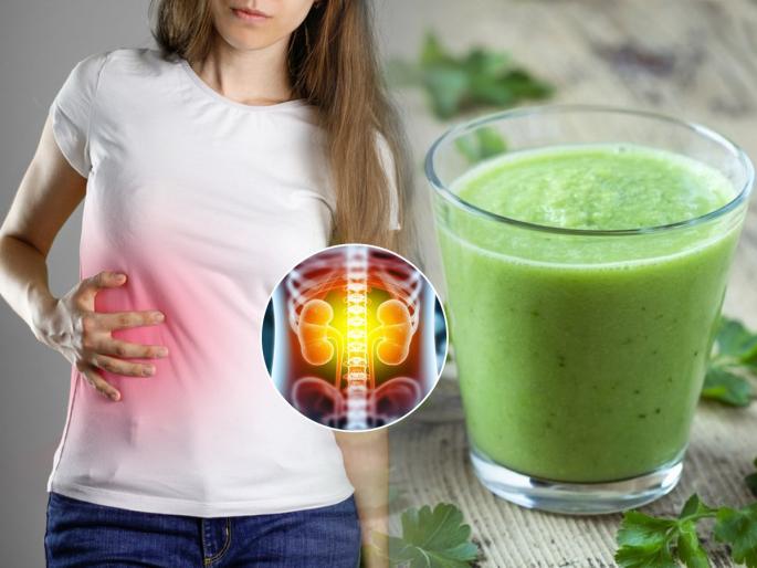 The Impressive Benefits Of Coriander For Kidney Health | कोथिंबिरीचा रस प्याल्याने किडनीचे आजार, युरीन इन्फेक्शन कमी होतात का? तज्ज्ञ सांगतात...