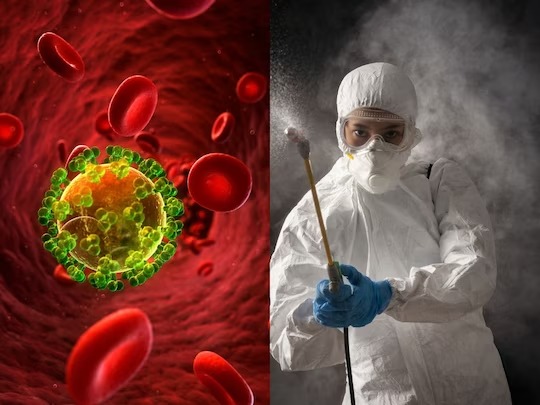 china reported its first death from new bird flu virus | बापरे! चीनमध्ये नव्या व्हायरसचा कहर; H3N8 बर्ड फ्लूमुळे पहिल्यांदाच माणसाने गमावला जीव china reported its first death from new bird flu virus | बापरे! चीनमध्ये नव्या व्हायरसचा कहर; H3N8 बर्ड फ्लूमुळे पहिल्यांदाच माणसाने गमावला जीव