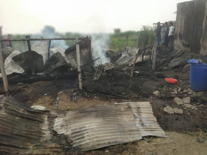 Nine animals burn in the fire in the farm field | आखाड्याला लागलेल्या आगीत नऊ जनावरे होरपळली; उन्हामुळे जनावरांना वेदना झाल्या असह्य Nine animals burn in the fire in the farm field | आखाड्याला लागलेल्या आगीत नऊ जनावरे होरपळली; उन्हामुळे जनावरांना वेदना झाल्या असह्य