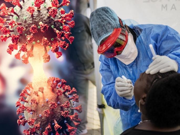 hybrid virus mirusvirus symptoms spread planktons scientist alert | जगात हाहाकार माजवणाऱ्या एका नव्या व्हायरसची एन्ट्री; शास्त्रज्ञ म्हणाले, "असं कधी पाहिलं नाही" hybrid virus mirusvirus symptoms spread planktons scientist alert | जगात हाहाकार माजवणाऱ्या एका नव्या व्हायरसची एन्ट्री; शास्त्रज्ञ म्हणाले, "असं कधी पाहिलं नाही"