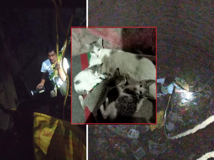 Courage of Animal Friends Saves Cat's Life; cat-kitten's meeting at last! | प्राणीमित्रांच्या धाडसाने मांजरास जीवदान; ताटातूट झालेल्या माय-लेकरांची अखेर भेट! Courage of Animal Friends Saves Cat's Life; cat-kitten's meeting at last! | प्राणीमित्रांच्या धाडसाने मांजरास जीवदान; ताटातूट झालेल्या माय-लेकरांची अखेर भेट!