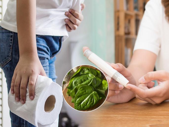 Know the health benefits of betel leaves | विड्याचे पान खाण्याचे ५ फायदे, काँस्टीपेशन ते डायबिटिसवर गुणकारी
