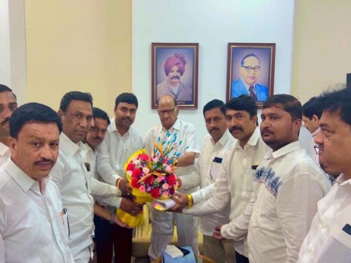 'Look for errors, omissions'; Sharad Pawar's instructions to be ready for Lok Sabha | 'चुका, उणिवांचा शोध घ्या'; आढावा बैठकीत लोकसभेसाठी सज्ज राहण्याचे शरद पवारांचे निर्देश 'Look for errors, omissions'; Sharad Pawar's instructions to be ready for Lok Sabha | 'चुका, उणिवांचा शोध घ्या'; आढावा बैठकीत लोकसभेसाठी सज्ज राहण्याचे शरद पवारांचे निर्देश