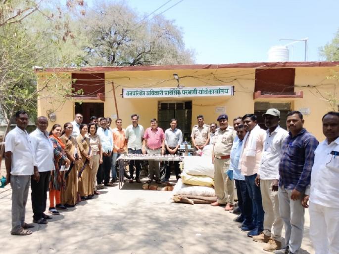 'Pushpa' Gang of Sandalwood Smugglers Trapped in Manwat; 10 smugglers arrested with 261 kg of sandalwood | चंदन तस्करांची ‘पुष्पा’ गँग अडकली; मानवतमध्ये २६१ किलो चंदनासह १० तस्कर अटकेत 'Pushpa' Gang of Sandalwood Smugglers Trapped in Manwat; 10 smugglers arrested with 261 kg of sandalwood | चंदन तस्करांची ‘पुष्पा’ गँग अडकली; मानवतमध्ये २६१ किलो चंदनासह १० तस्कर अटकेत