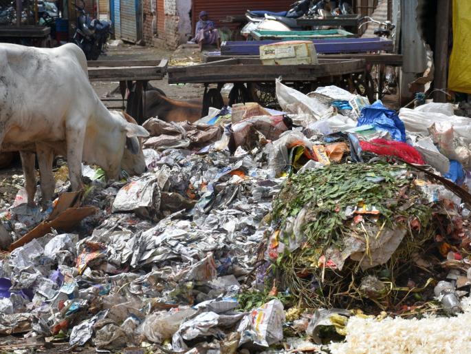 Every day 9 thousand plastic bags pollute the environment of Akola city | दररोज ९ हजार प्लास्टिक पिशव्या करतात अकोला शहराचे पर्यावरण प्रदूषित Every day 9 thousand plastic bags pollute the environment of Akola city | दररोज ९ हजार प्लास्टिक पिशव्या करतात अकोला शहराचे पर्यावरण प्रदूषित