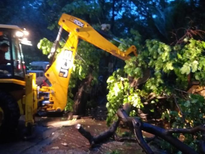 Night game of rain in Thane; Nine trees fell, 5 vehicles damaged | ठाण्यात पावसाचा रात्रीचा खेळ चाले; नऊ झाडे कोसळली, ५ वाहनांचे नुकसान Night game of rain in Thane; Nine trees fell, 5 vehicles damaged | ठाण्यात पावसाचा रात्रीचा खेळ चाले; नऊ झाडे कोसळली, ५ वाहनांचे नुकसान