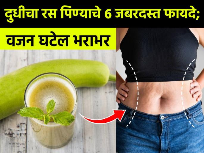 5 Health benefits of the humble bottle gourd or lauki : Top Health Benefits of Bottle Gourd | रोज अर्धा ग्लास दुधीचा रस पिण्याचे ५ फायदे, पचन सुधरेल आणि वजनही होईल कमी