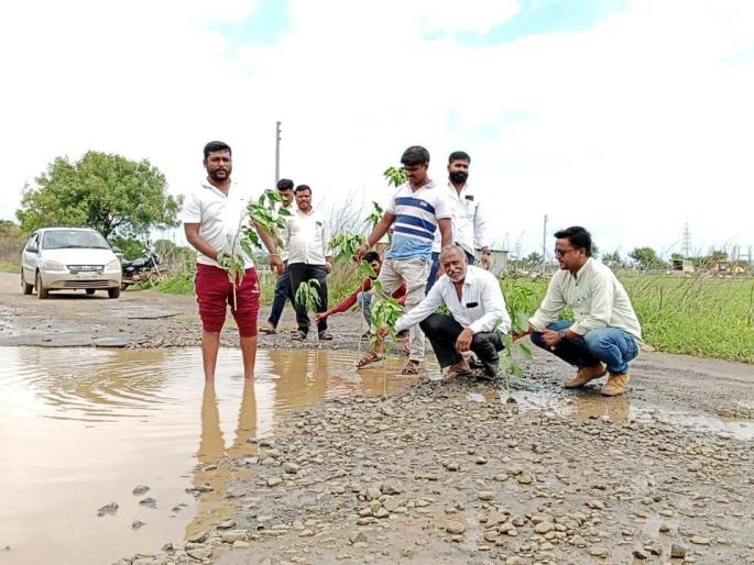 Protests were made by planting Besharam trees in pits | खड्ड्यांमध्ये बेशरमाची झाडे लावून केला निषेध Protests were made by planting Besharam trees in pits | खड्ड्यांमध्ये बेशरमाची झाडे लावून केला निषेध