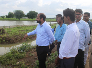 The new collector reached the dam; Survey of agricultural damage | नवे जिल्हाधिकारी पोहोचले बांधावर; शेतीच्या नुकसानीची केली पाहणी The new collector reached the dam; Survey of agricultural damage | नवे जिल्हाधिकारी पोहोचले बांधावर; शेतीच्या नुकसानीची केली पाहणी