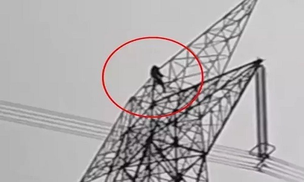 Video high voltage drama girlfriend climbed on high tension tower | Video - हायव्होल्टेज ड्रामा! प्रियकराशी भांडण होताच प्रेयसी थेट टॉवरवर चढली, रुसून बसली अन्... Video high voltage drama girlfriend climbed on high tension tower | Video - हायव्होल्टेज ड्रामा! प्रियकराशी भांडण होताच प्रेयसी थेट टॉवरवर चढली, रुसून बसली अन्...