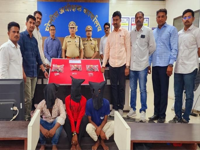 Captured seven live cartridges with 3 Gavathi Kattas in Beed; Action by LCB | बीडमध्ये ३ गावठी कट्ट्यांसह सात जीवंत काडतूस पकडले; एलसीबीची कारवाई Captured seven live cartridges with 3 Gavathi Kattas in Beed; Action by LCB | बीडमध्ये ३ गावठी कट्ट्यांसह सात जीवंत काडतूस पकडले; एलसीबीची कारवाई